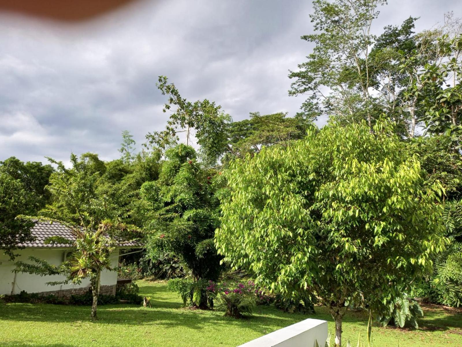 Terra Luna Lodge Tena Bagian luar foto