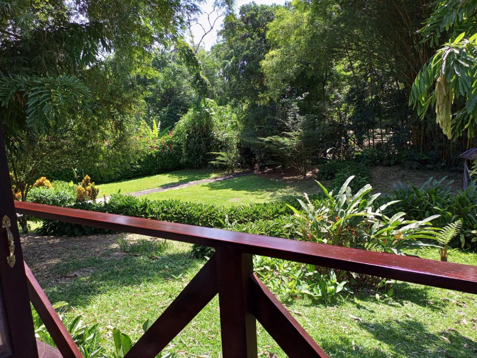 Terra Luna Lodge Tena Bagian luar foto