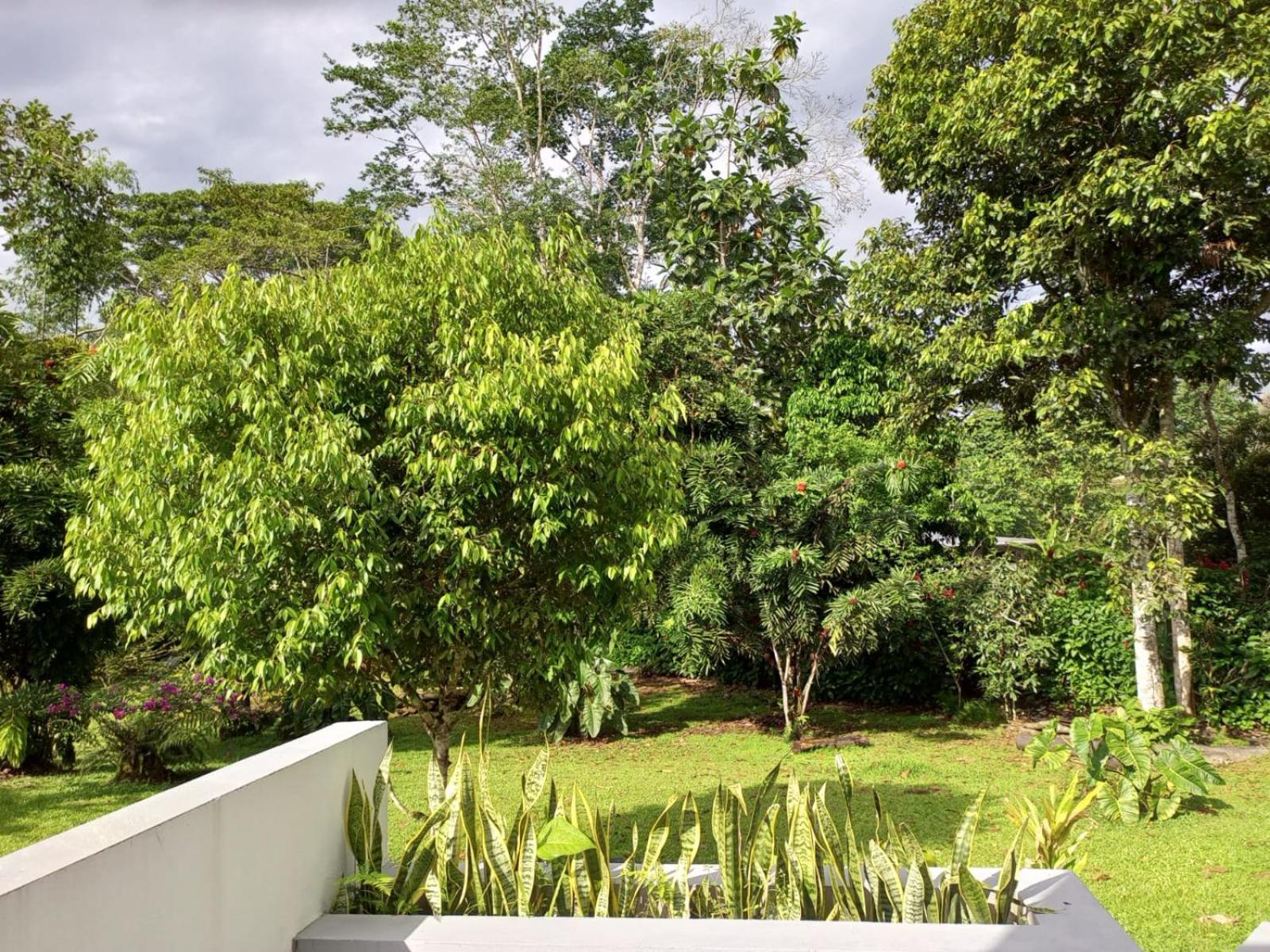 Terra Luna Lodge Tena Bagian luar foto