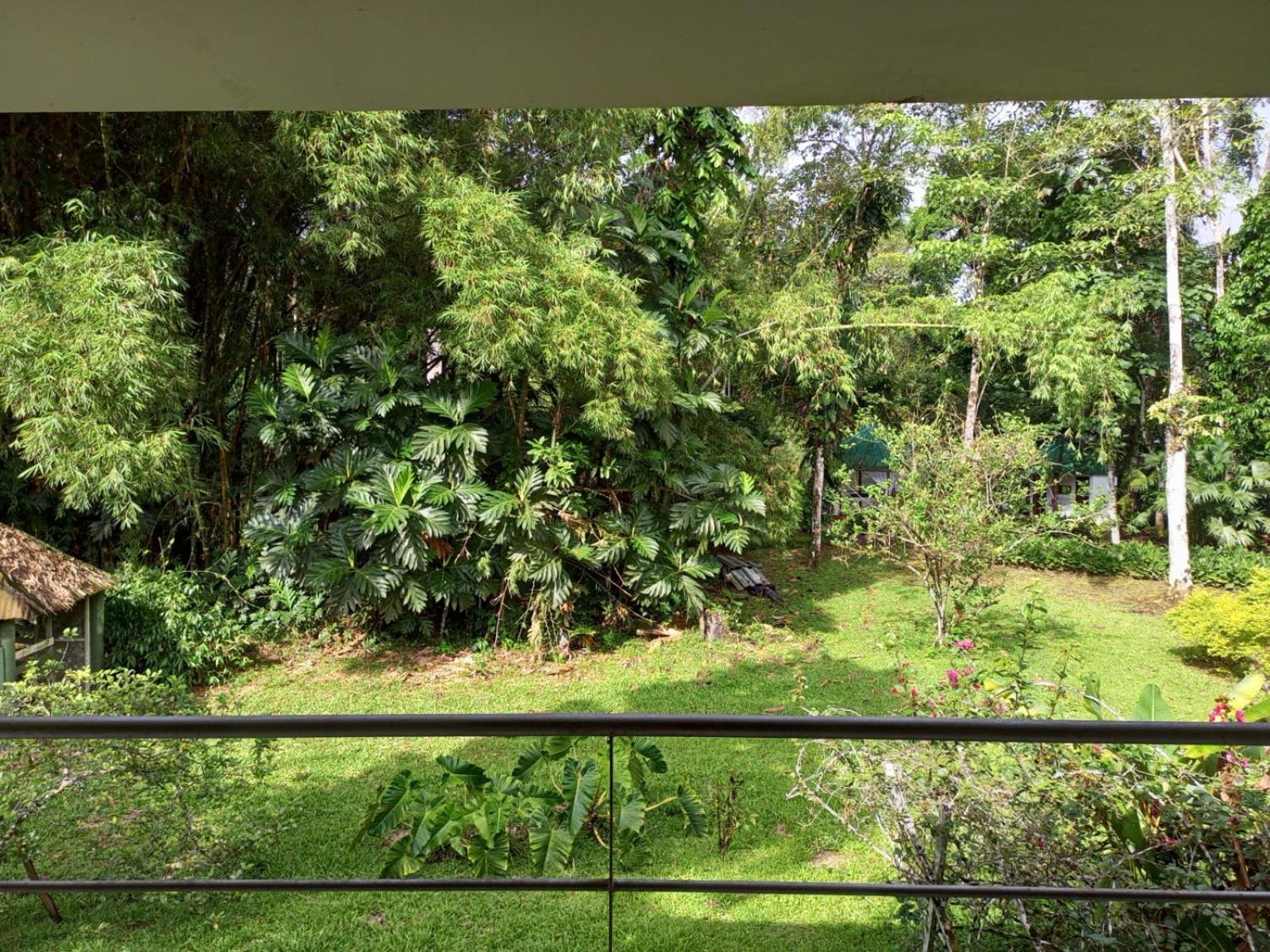 Terra Luna Lodge Tena Bagian luar foto