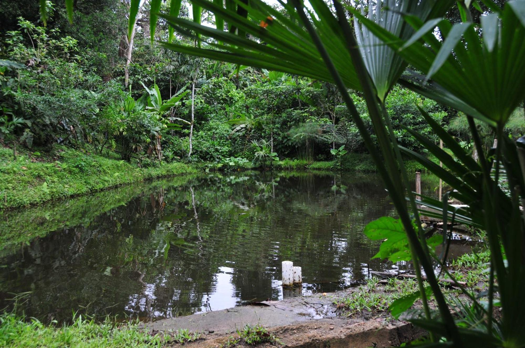 Terra Luna Lodge Tena Bagian luar foto