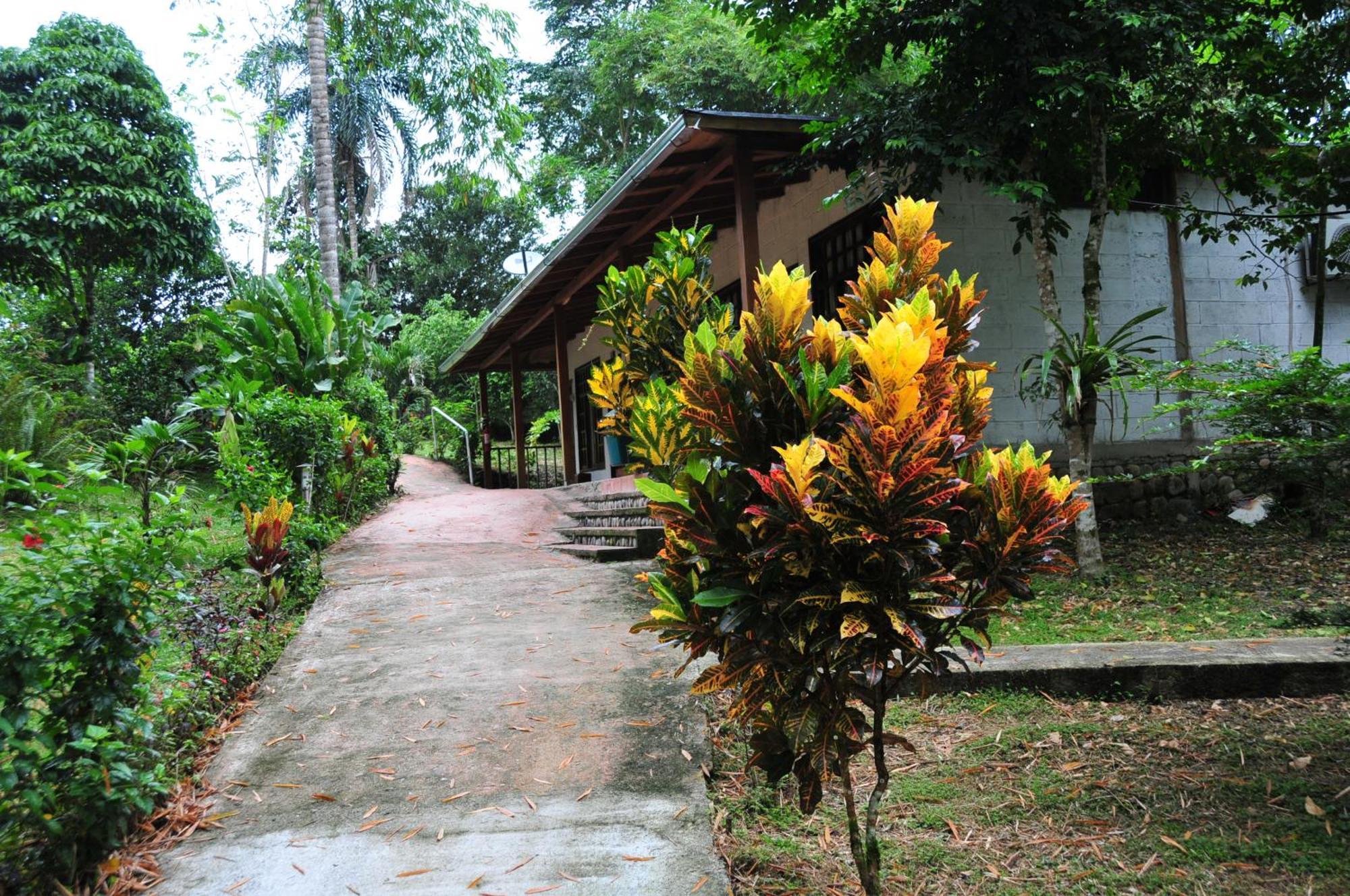 Terra Luna Lodge Tena Bagian luar foto